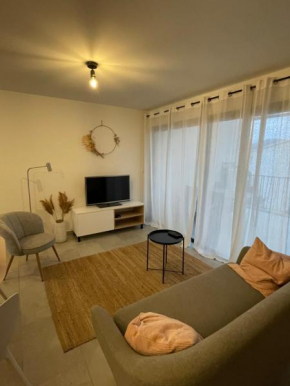 Les Cyclistes : appartement Vintoux